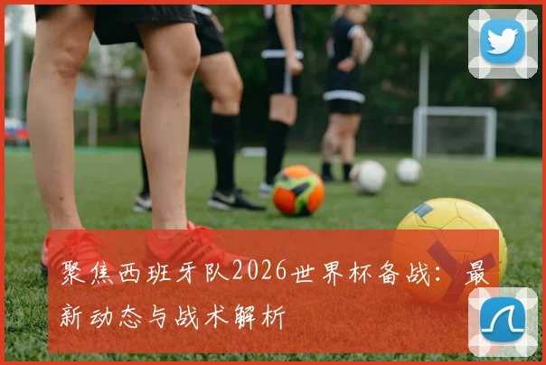 聚焦西班牙队2026世界杯备战：最新动态与战术解析