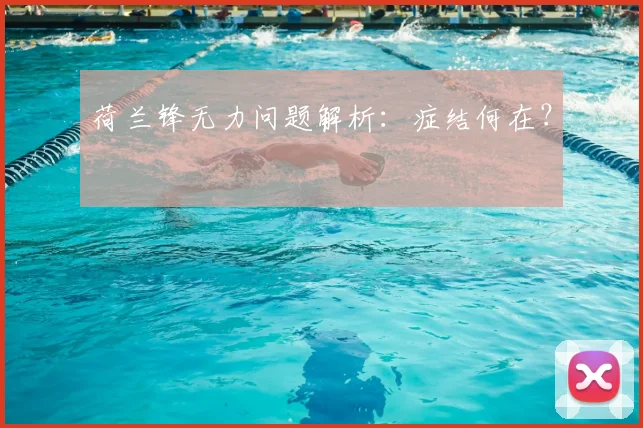 荷兰锋无力问题解析：症结何在？
